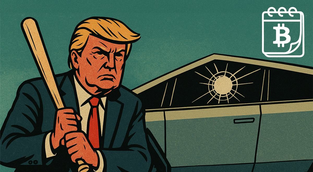 Donald a Elon už nejsou kamarádi. Odnesly to akcie Tesly i bitcoin