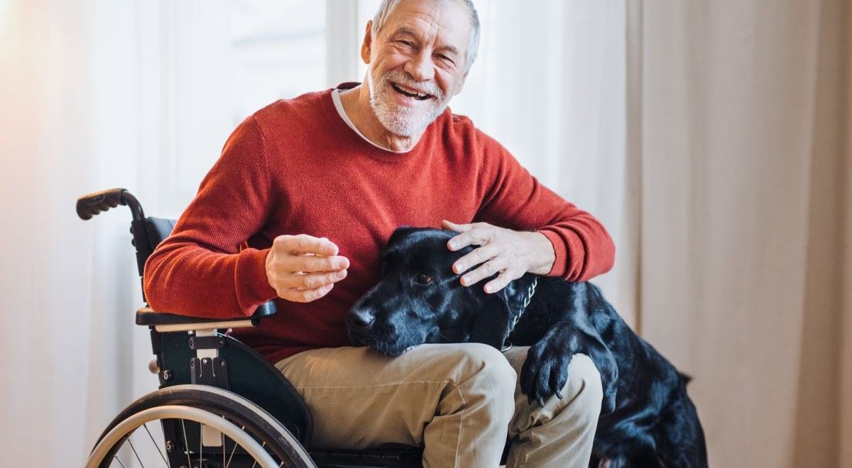 Chtěl vyšší invalidní důchod, dostal čtvrt milionu. Jak se bránit, když nevěříte posudku?