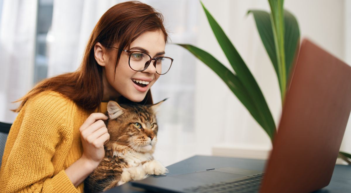 Digitální stát v praxi: Přehled online služeb, které skutečně šetří čas i peníze