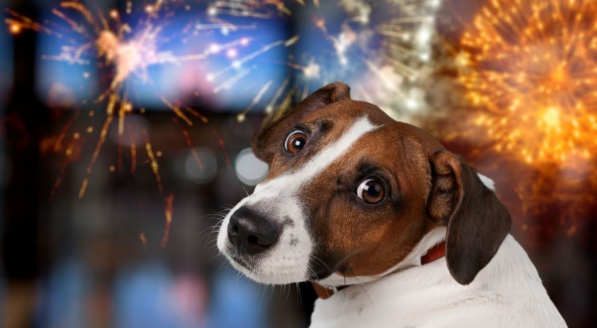 Kde si s ohňostrojem už neškrtnete. Přehled nových pravidel a mapa zákazů