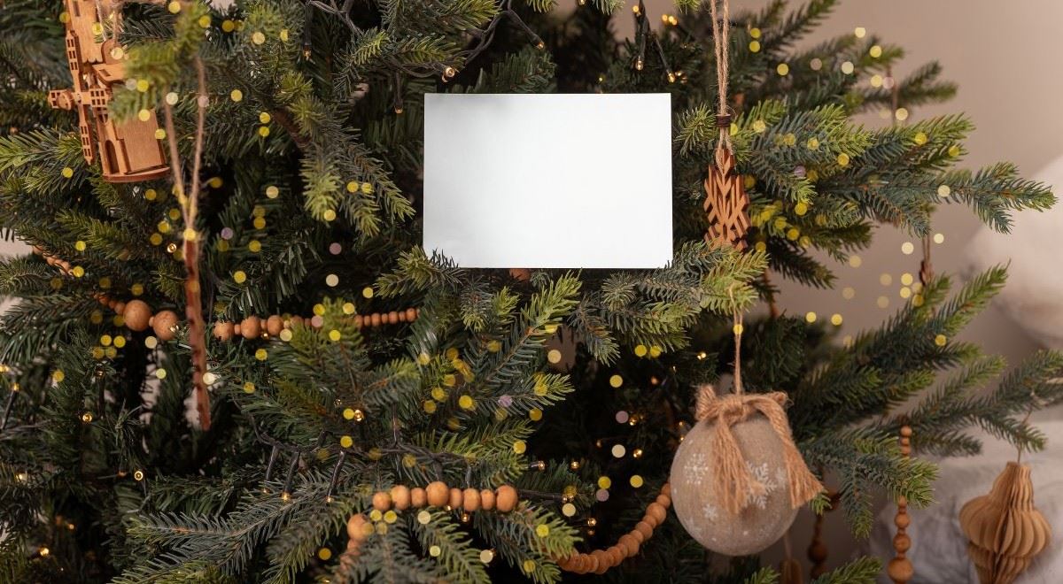 Investice pod stromeček? Češi je chtějí, darovat se je ale zdráhají