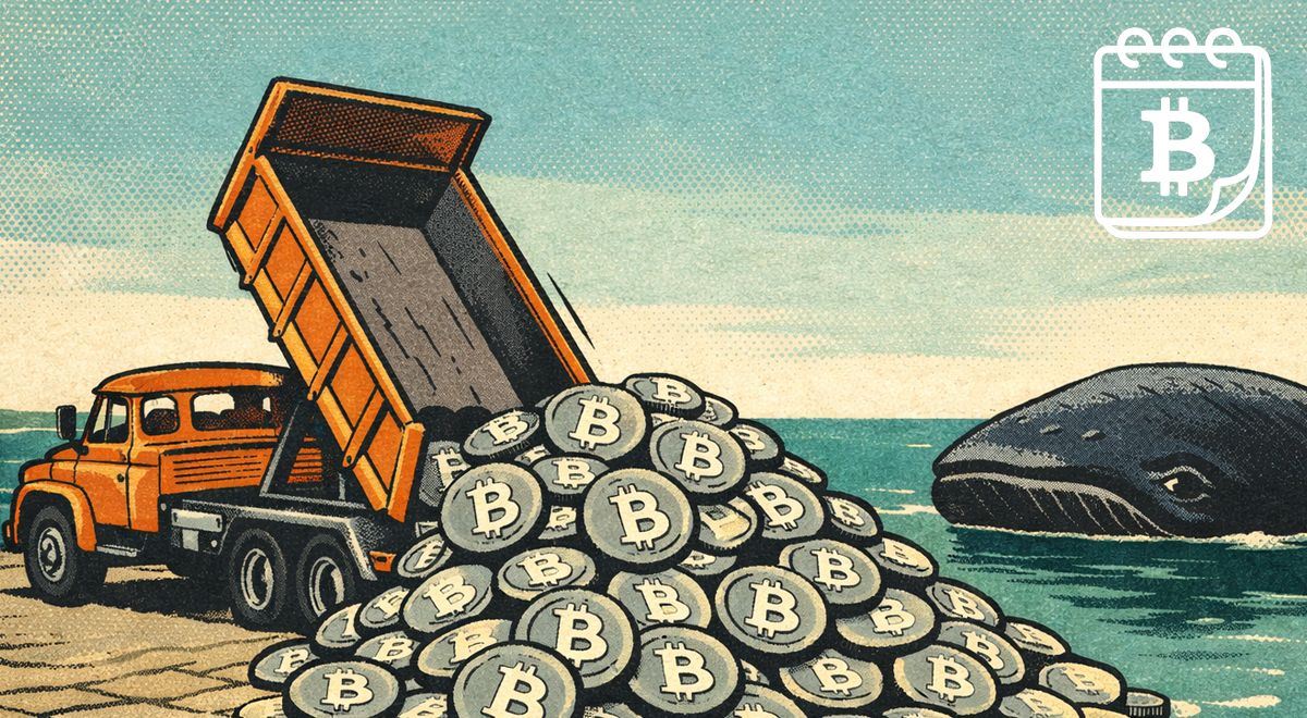 Velryby kupují zlevněný bitcoin ve velkém. Napravený hacker vracel obří lup