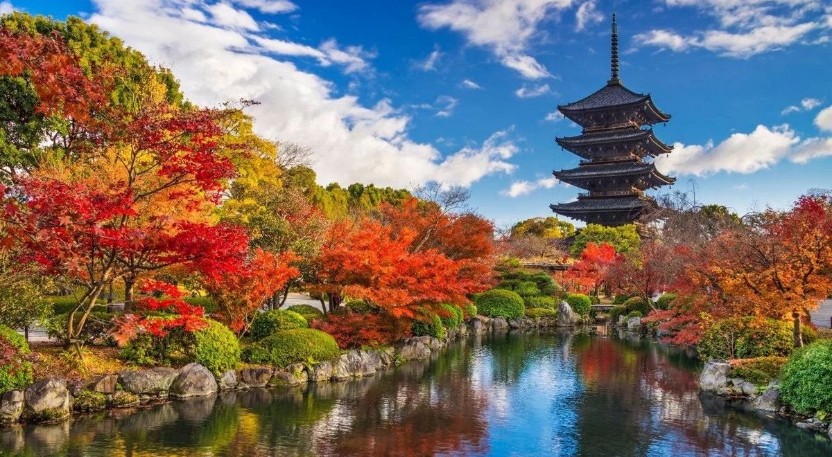 Exotika přímo z Prahy a Švýcarsko po kolejích: Jak se mění dovolená u největšího hráče na trhu