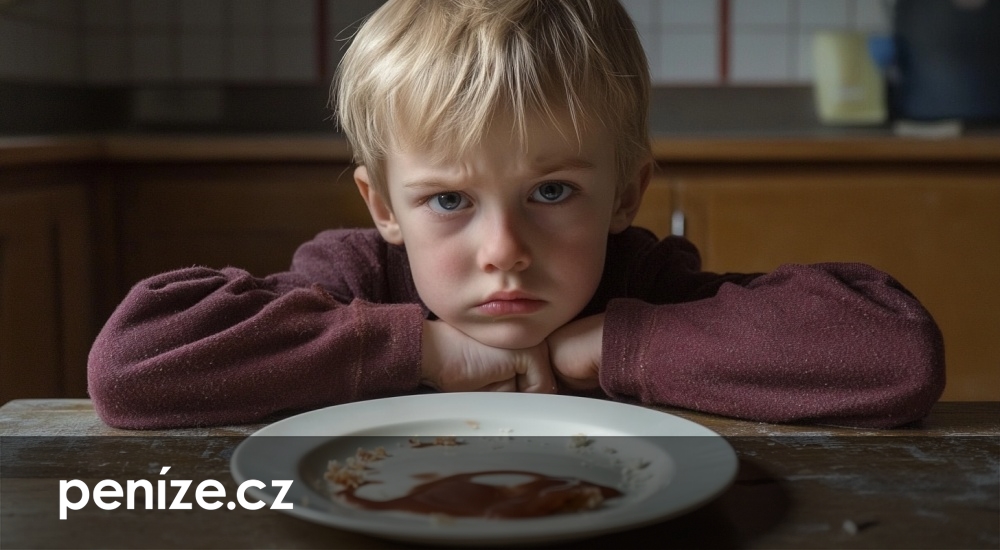 Otec poslal výživné omylem dvakrát. Matka kvůli tomu přišla o dávky
