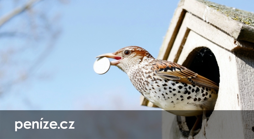 Platba daně z nemovitosti se blíží. Její výši zjistíte už teď