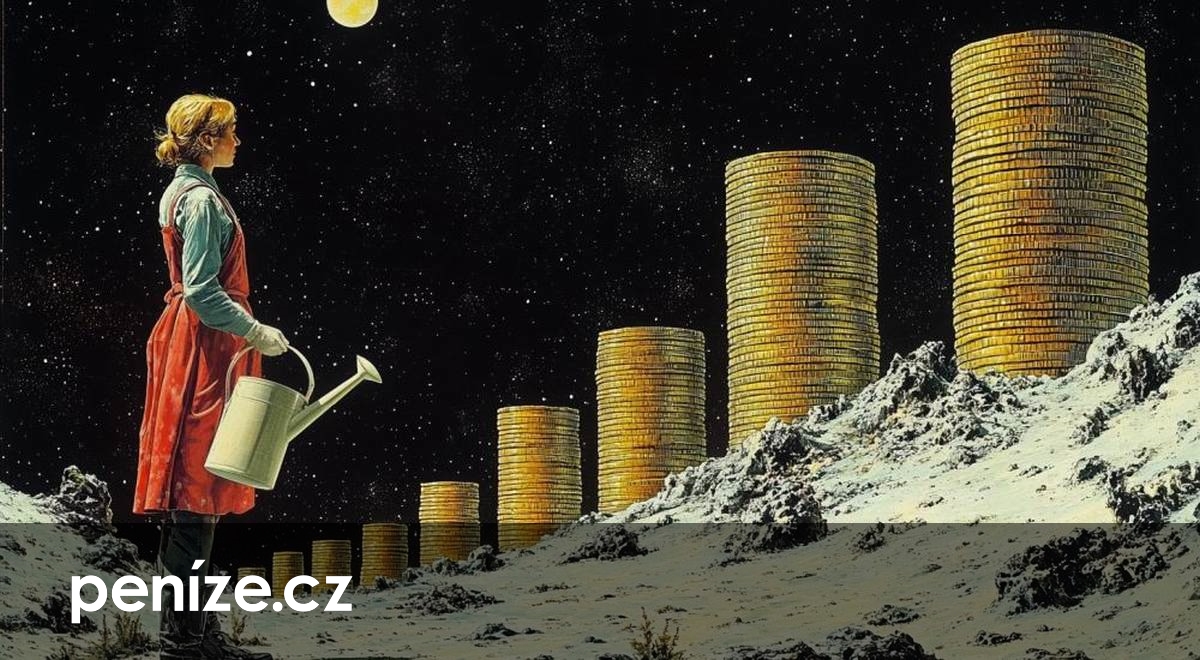 DIP si sjednalo přes čtvrt milionu lidí. Investice dominují nad vklady