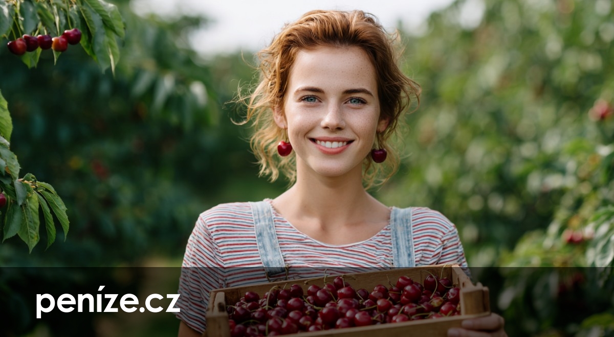 Brigádníci v zemědělství můžou letos vydělat víc díky nové slevě