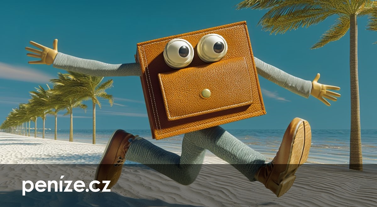 Zrušený let? Aerolinky musí vrátit i provizi pro zprostředkovatele