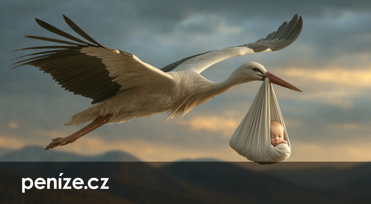 Domácí péče po porodu. Stát nabídne zdarma novinku všem maminkám