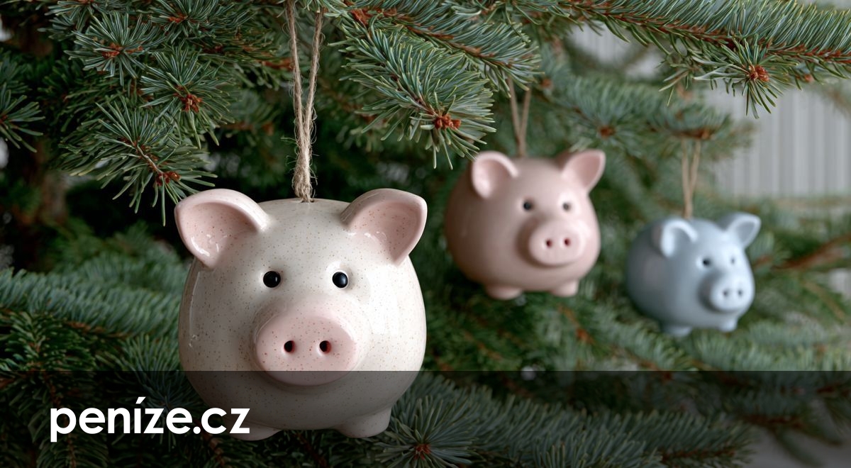 Dostali jste k Vánocům peníze? Poradíme, kam je nejlíp uložit