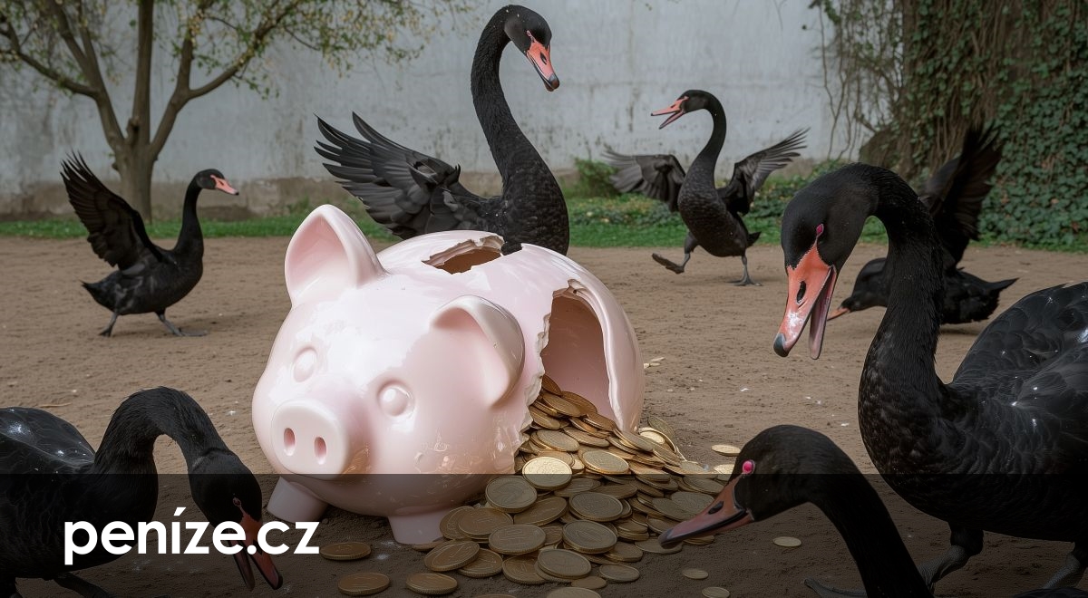 Šokující předpovědi pro rok 2026: Bankovní účty bez ochrany, bitcoin se hroutí