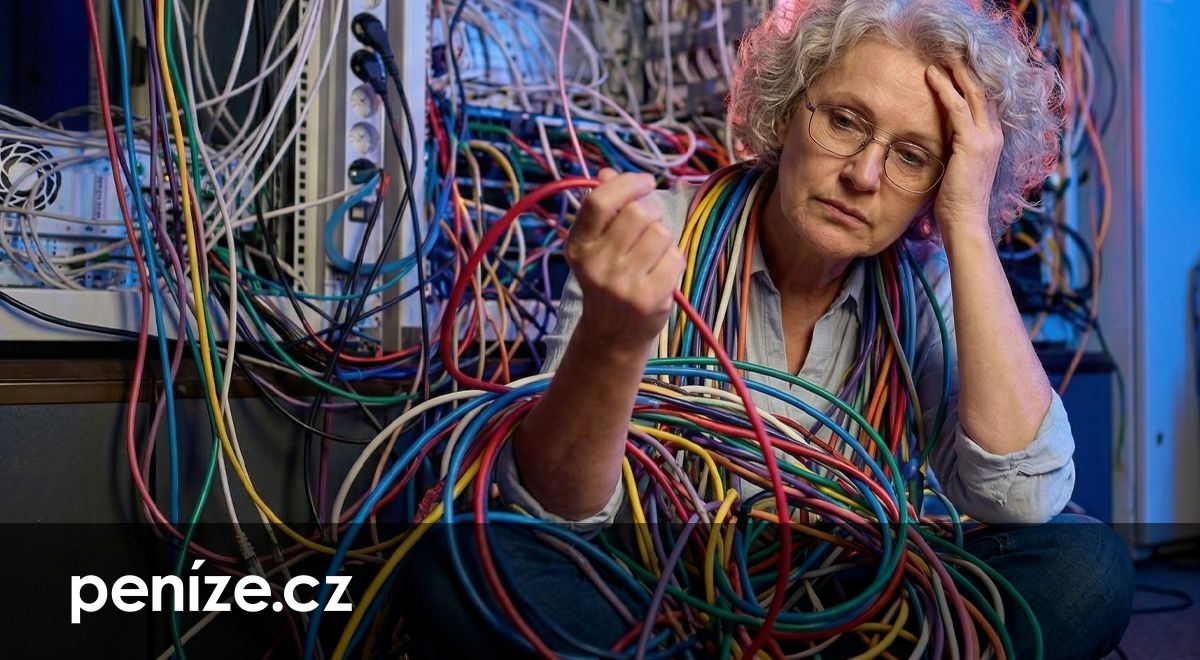 Stát odloží další digitalizaci dávek. Úřad práce je zavalen superdávkou