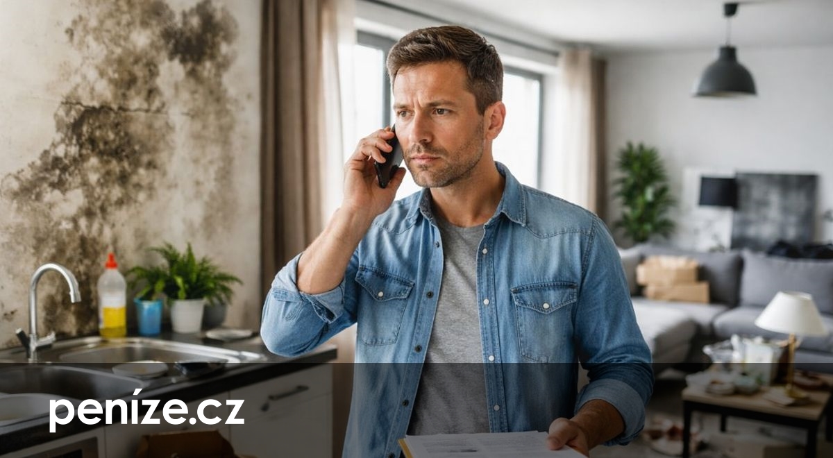 Pronajímání bytu jako podnikání: Na co si dát pozor v roce 2026