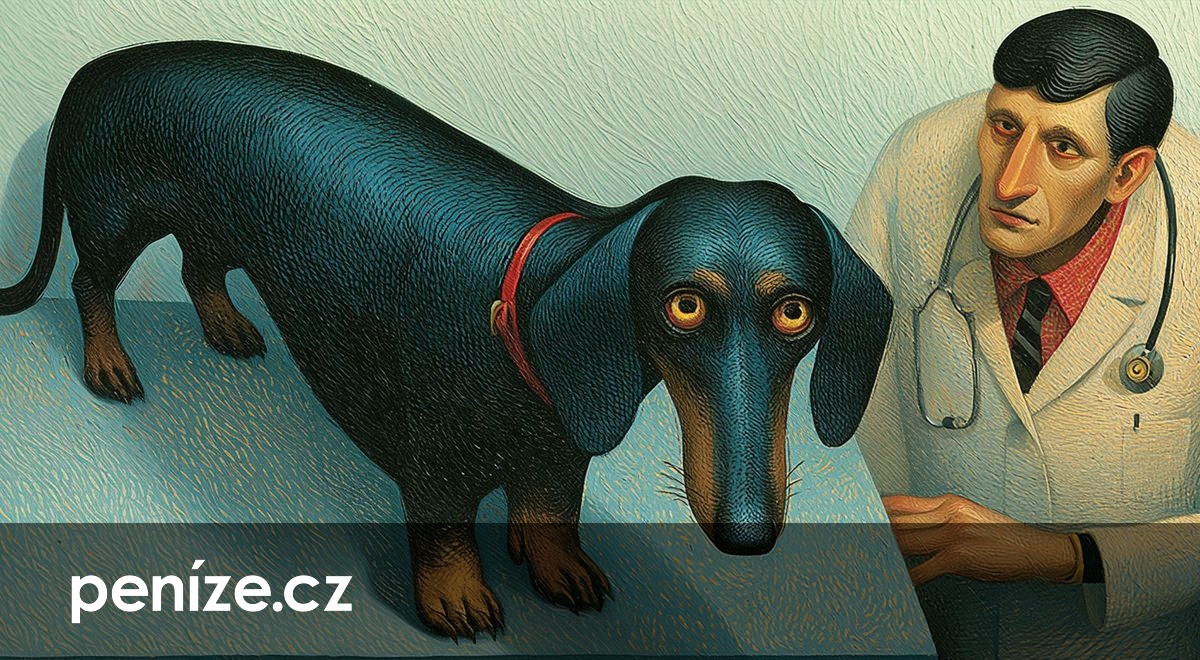 Účet za veterináře může dosáhnout desítek tisíc. Kdy má pojištění smysl