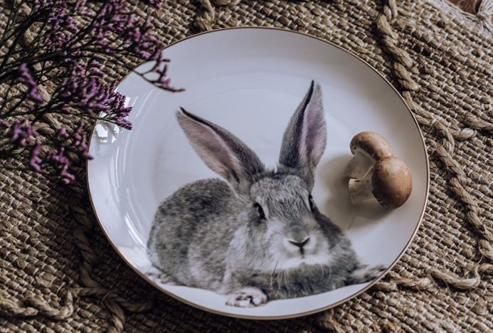 Polský králíček v pankráckých Arkádách