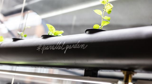 Advokát Radim Kozub