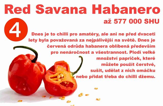 Nejpálivější chilli paprička na světě