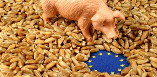 Zemědělská politika EU: Reformovat nebo zrušit?