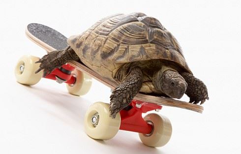 Dluhová brzda? Daňové turbo!