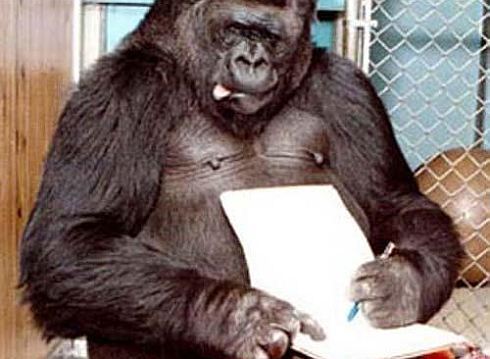 Umění jako monkey business