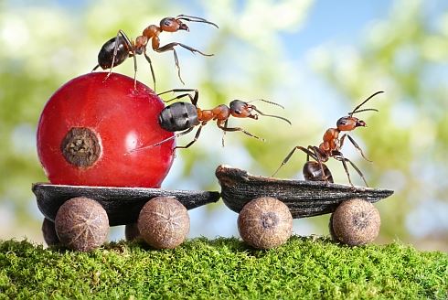 Bilance: Rok 2012 z pohledu investora