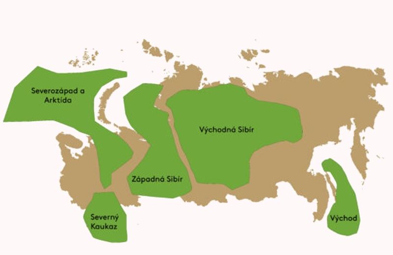Mapa ruského plynu a ropu