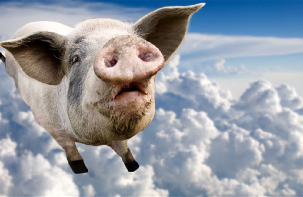 Kovaná ekonomie: Můžou prasata létat na Měsíc?