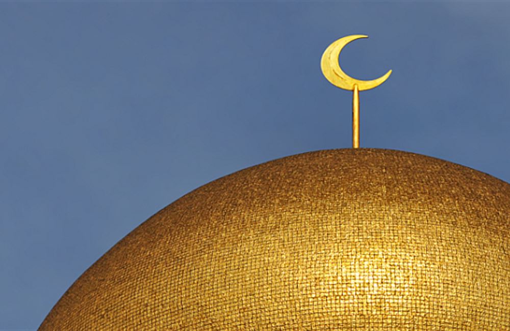 Konspirační teorie: Islámské spiknutí