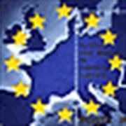 Akcie: evropské tituly by měly nadále posilovat