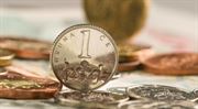Kolik vám loni vydělalo penzijko: Známe výnosy penzijních společností