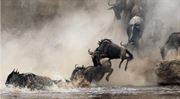 Dluhopisy se splašily. Kolik vydělaly podílové fondy v únoru