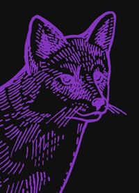 Foxy Lady