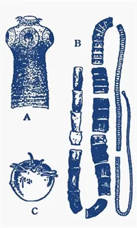 Ilustrační obrázek