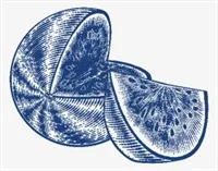 Ilustrační obrázek