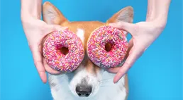 Račte si sundat růžové kryptobrýle, vaše aktiva můžou shořet jako papír