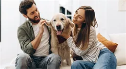 Pes na střídačku. Soudy řeší péči o mazlíčky po rozchodu, roli hrají i jejich city