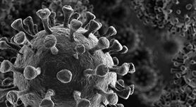 Koronavirus