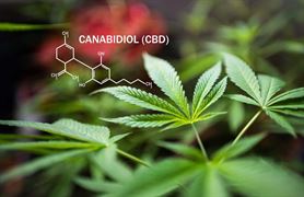 Co je to CBD (knabidiol)
