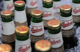 Budvar lahve