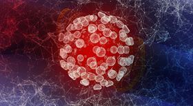 Koronavirus