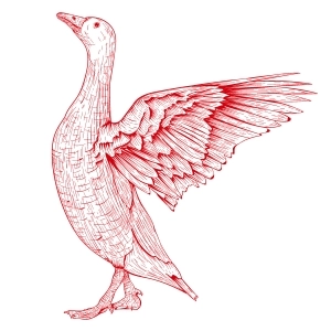 We are better than John Hus