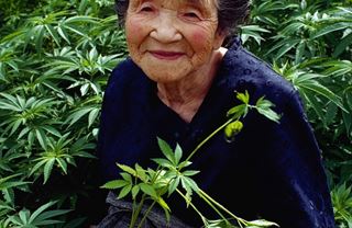 Japonský penzijní systém: Kostlivci na úřadech, mumie pod peřinou!