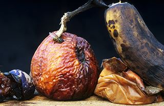 Co mne naučila tato krize?