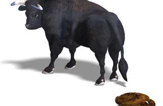 Anketa: Dopadne Španělsko stejně jako Řecko?