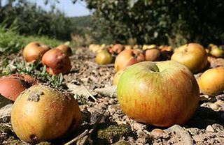 My ty peníze musíme vyčerpat! Stát hledá „nový Apple“