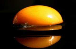 Vaječná krize: Češi mají dražší vejce než Němci!