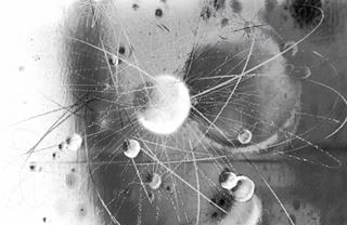 Temelín a Jaslovské Bohunice: ČEZ nemá na nové reaktory