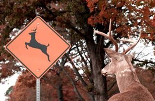 Politika a média I: Uspokojit mediální poptávku