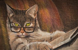 Pozitivní zprávy: Kocour vám to řekne