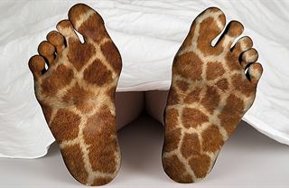 Pozitivní zprávy... a šáteček